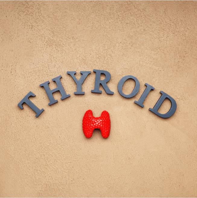 Lets Talk Thyroid